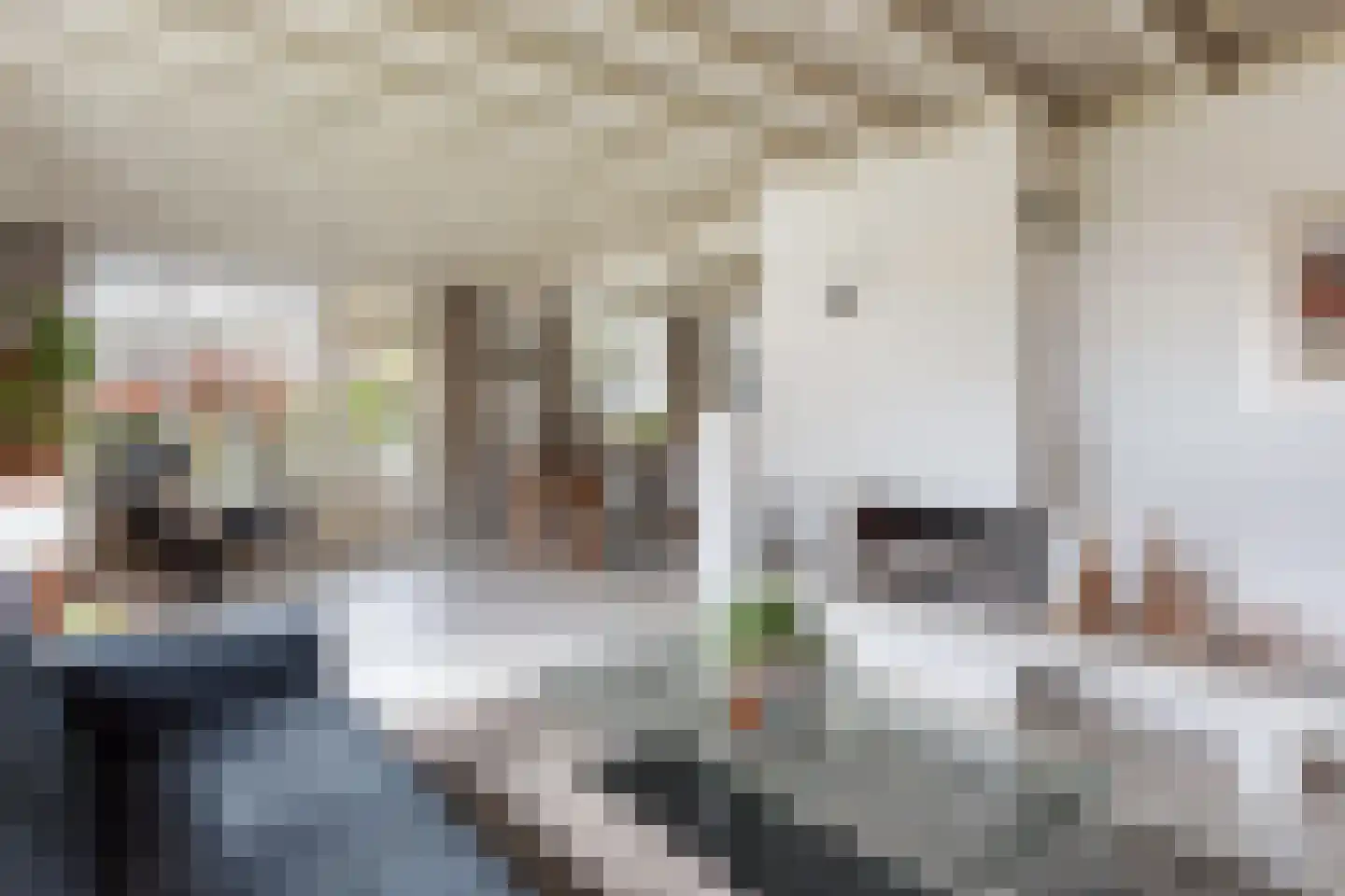 Veldmolen 16 Delden thumbnail 8