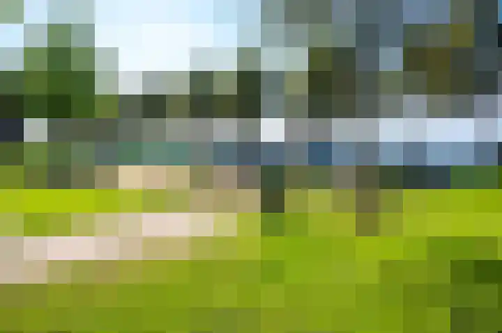 Veldoven 21 Cuijk thumbnail 48
