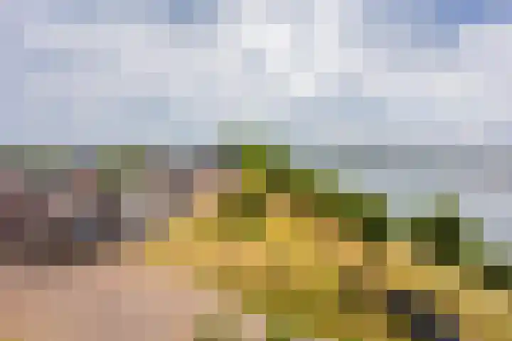 Veldoven 23 Cuijk thumbnail 13