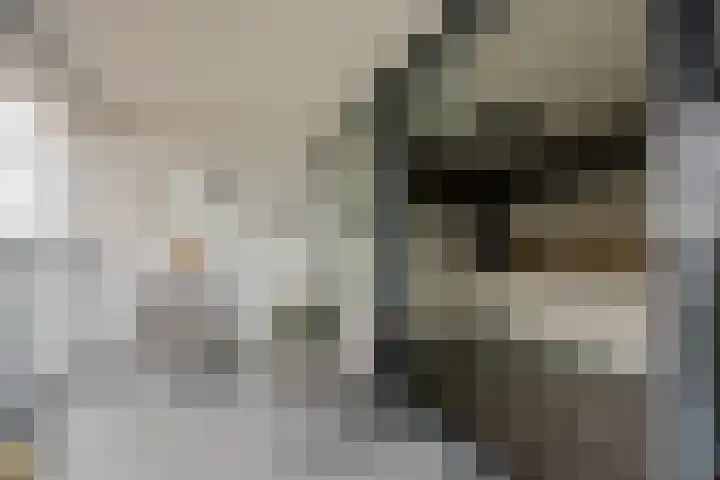 Veldoven 23 Cuijk thumbnail 15