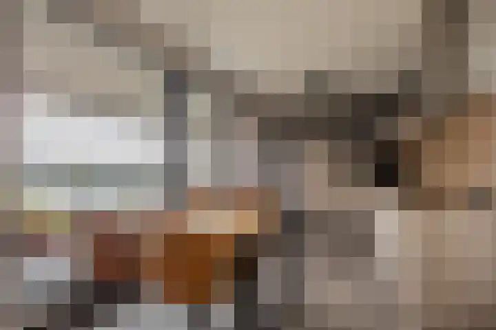 Veldoven 23 Cuijk thumbnail 4