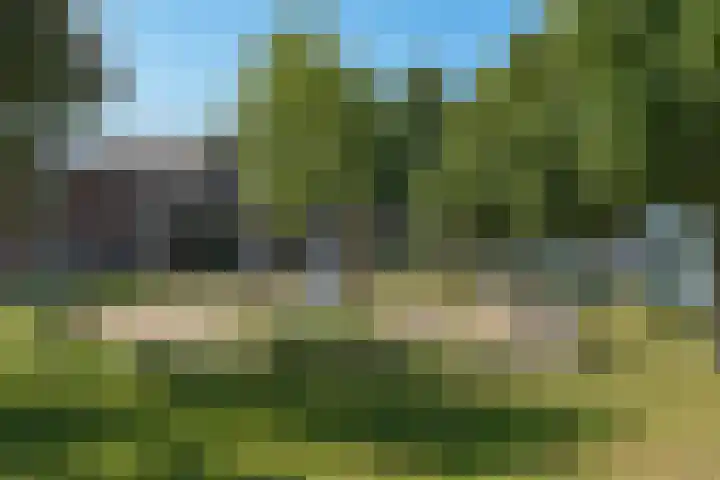 Veldoven 23 Cuijk thumbnail 51