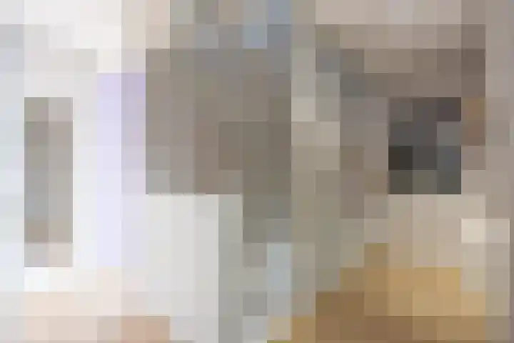 Veldoven 4 Winsum thumbnail 15