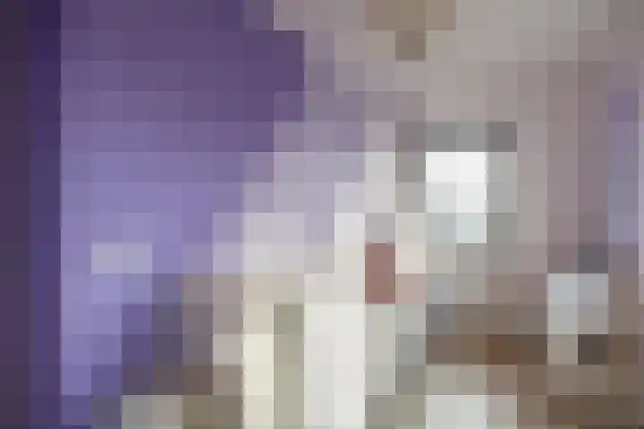 Veldoven 4 Winsum thumbnail 19