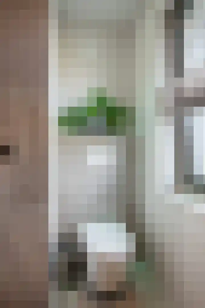 Veldoven 4 Winsum thumbnail 24
