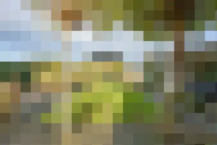 Veldoven 4 Winsum thumbnail 34