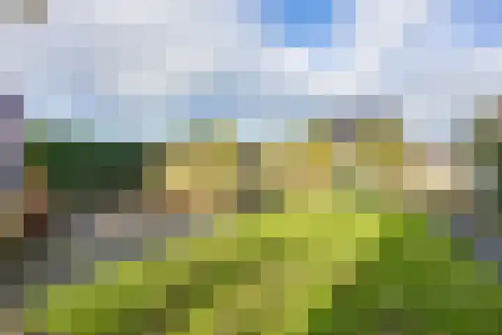 Veldoven 4 Winsum thumbnail 36