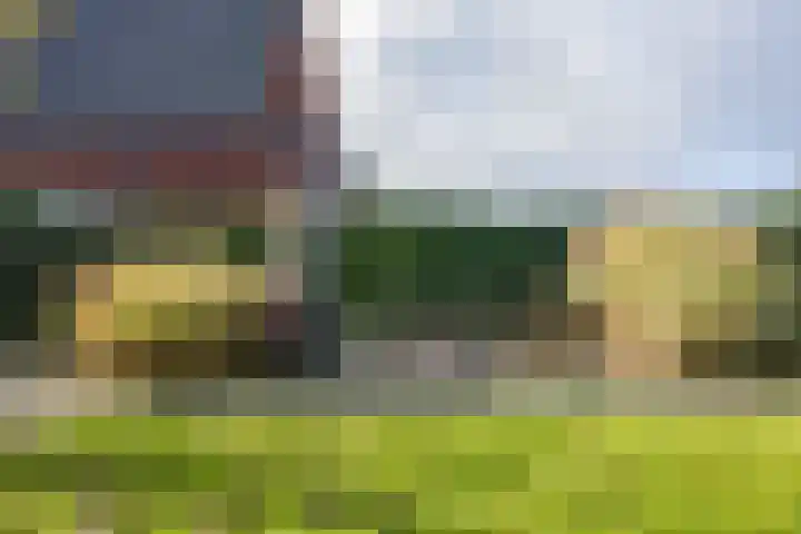 Veldoven 4 Winsum thumbnail 37