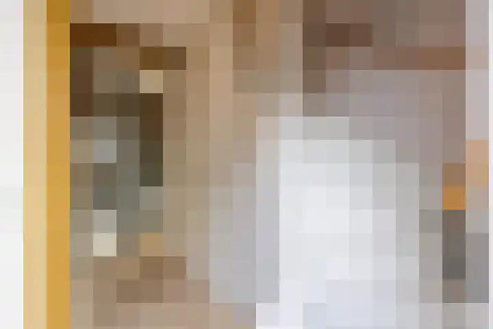 Veldoven 4 Winsum thumbnail 5
