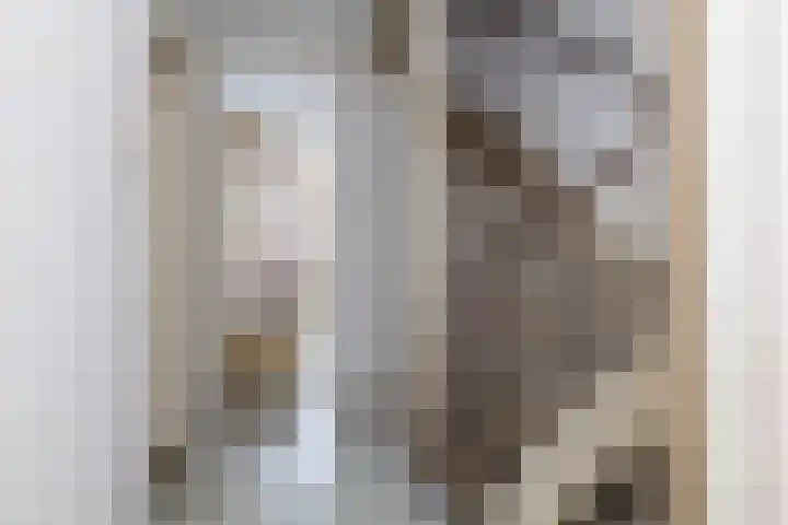 Veldoven 6 Delfzijl thumbnail 15