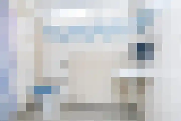 Veldoven 6 Delfzijl thumbnail 21