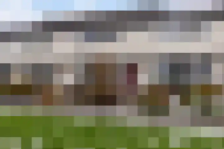 Veldoven 6 Delfzijl thumbnail 7
