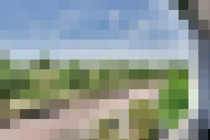 Veldpad 5 's-Hertogenbosch thumbnail 17