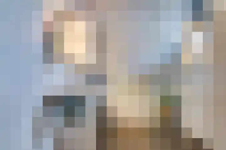Veldpad 5 's-Hertogenbosch thumbnail 21