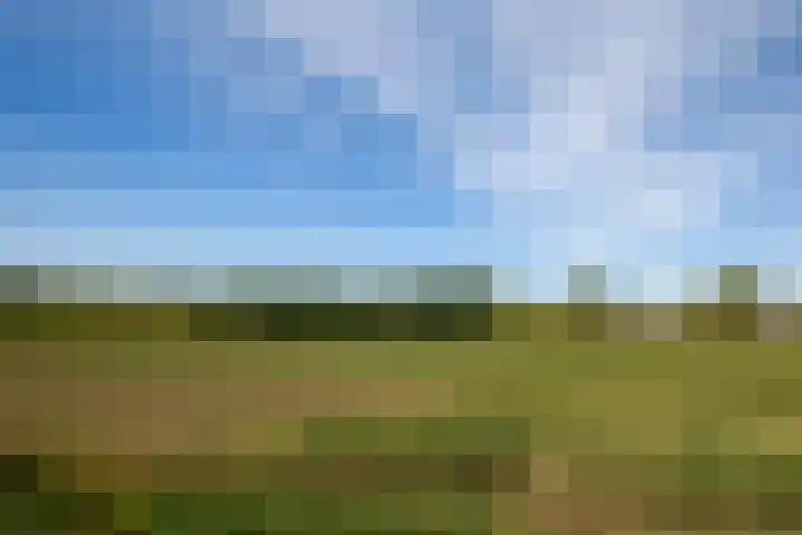 Veldpad 5 's-Hertogenbosch thumbnail 28