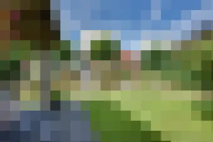 Veldpad 5 's-Hertogenbosch thumbnail 30