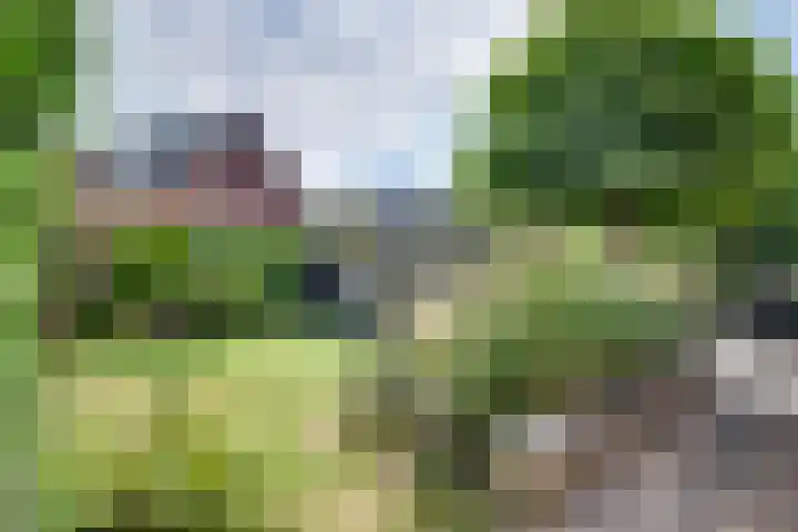 Veldpad 5 's-Hertogenbosch thumbnail 31