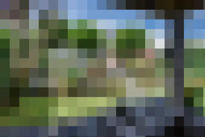 Veldpad 5 's-Hertogenbosch thumbnail 36