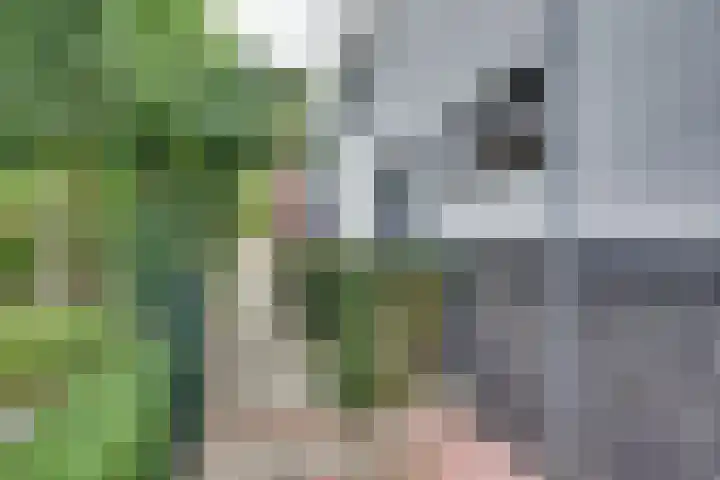 Veldpad 5 's-Hertogenbosch thumbnail 37