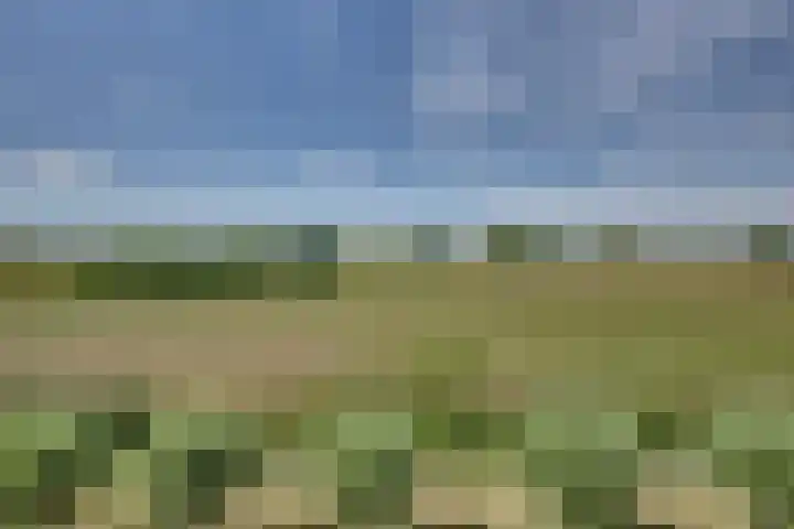 Veldpad 5 's-Hertogenbosch thumbnail 39