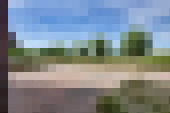 Veldpad 5 's-Hertogenbosch thumbnail 40