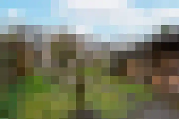 Veldsingel 71 Malden thumbnail 24