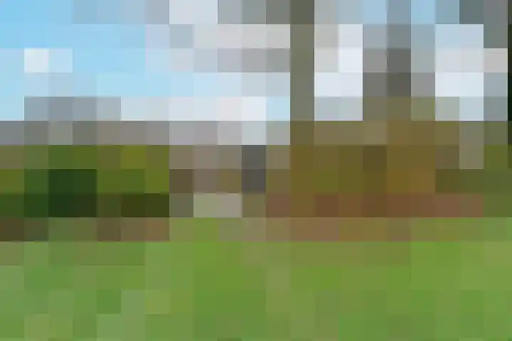 Veldsingel 71 Malden thumbnail 28