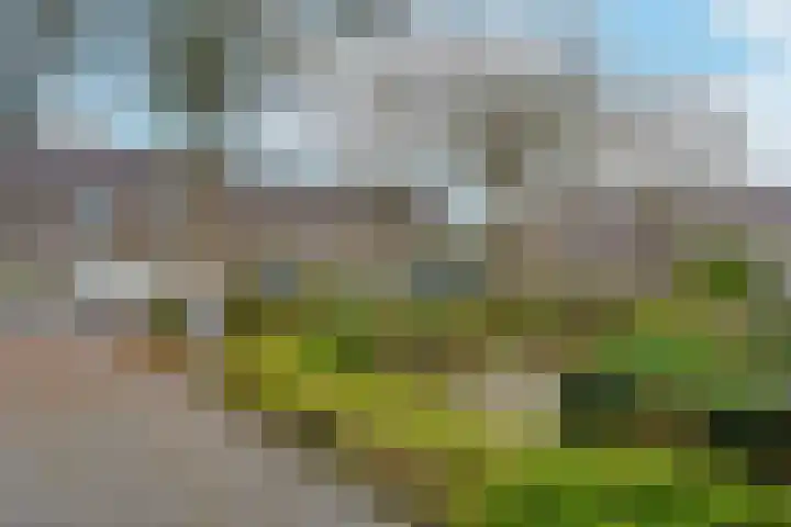 Veldsingel 71 Malden thumbnail 30