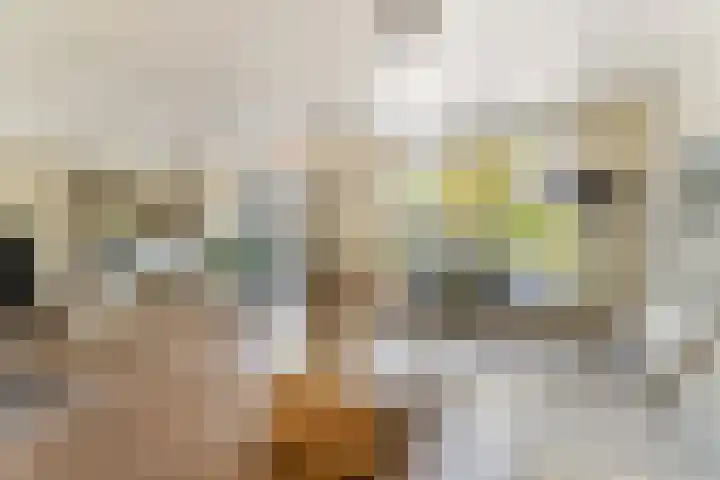 Veldsingel 77 Malden thumbnail 13