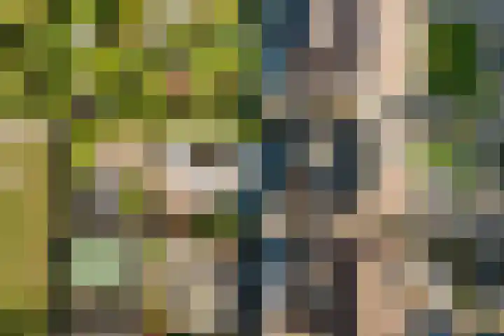Veldsingel 77 Malden thumbnail 4