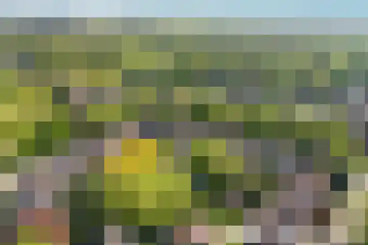 Veldsingel 77 Malden thumbnail 5