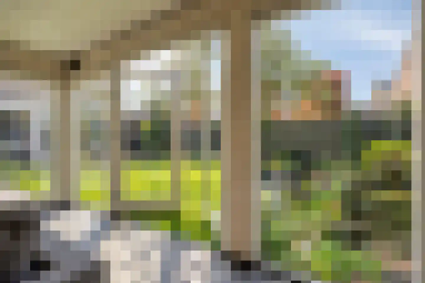 Veldstraat 1 Nuland thumbnail 40