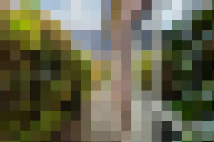 Veldstraat 1 Putten thumbnail 37