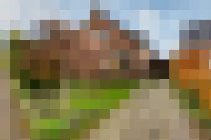 Veldstraat 1 Putten thumbnail 39