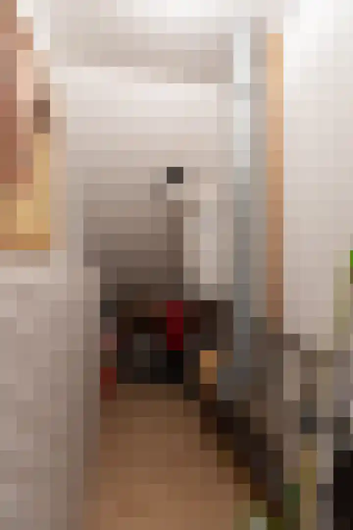 Veldstraat 16 Duiven thumbnail 38