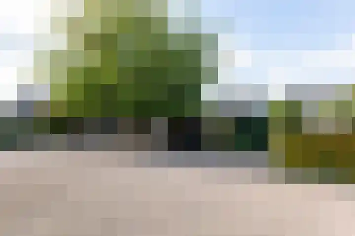 Veldstraat 16 Duiven thumbnail 57
