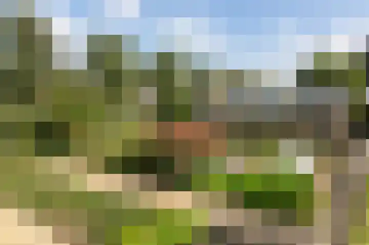 Veldstraat 16 Duiven thumbnail 67