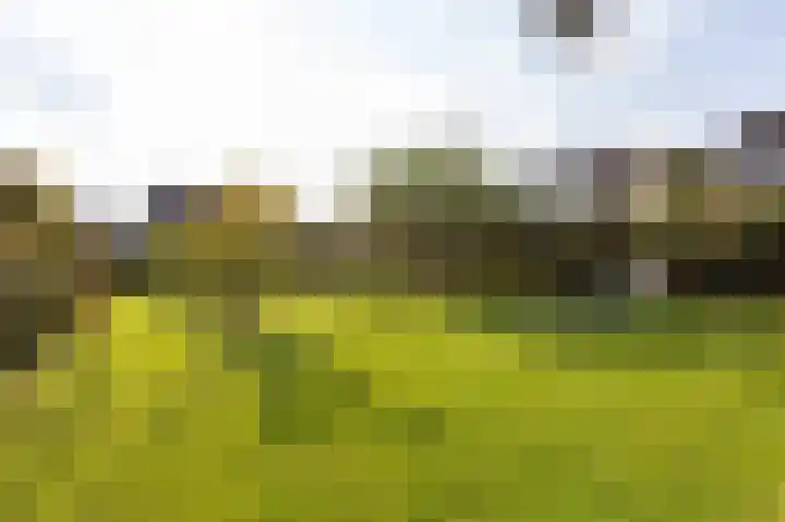Veldstraat 16 Duiven thumbnail 69