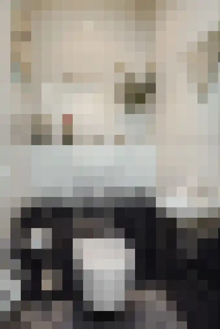 Veldstraat 17 Geffen thumbnail 13
