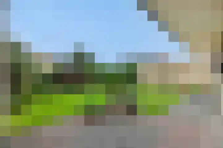 Veldstraat 17 Geffen thumbnail 34