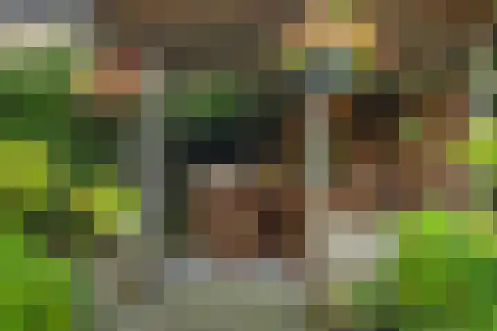 Veldstraat 17 Geffen thumbnail 36