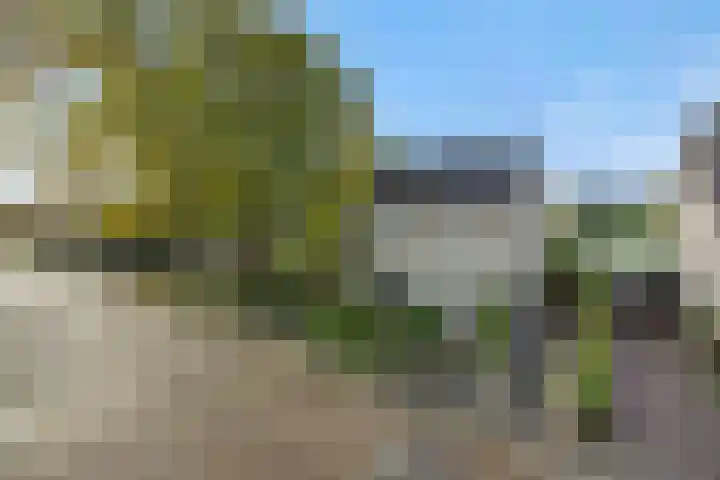 Veldstraat 17 Geffen thumbnail 47