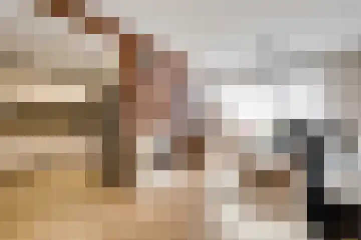 Veldstraat 18 Stramproy thumbnail 4