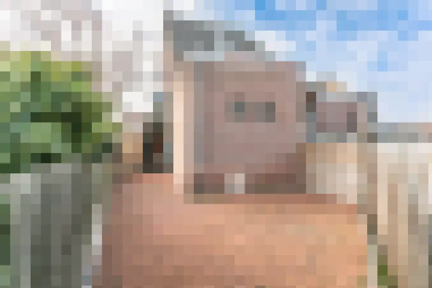 Veldstraat 2 Brunssum thumbnail 50