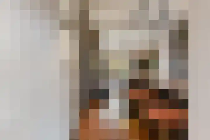 Veldstraat 23 Didam thumbnail 18