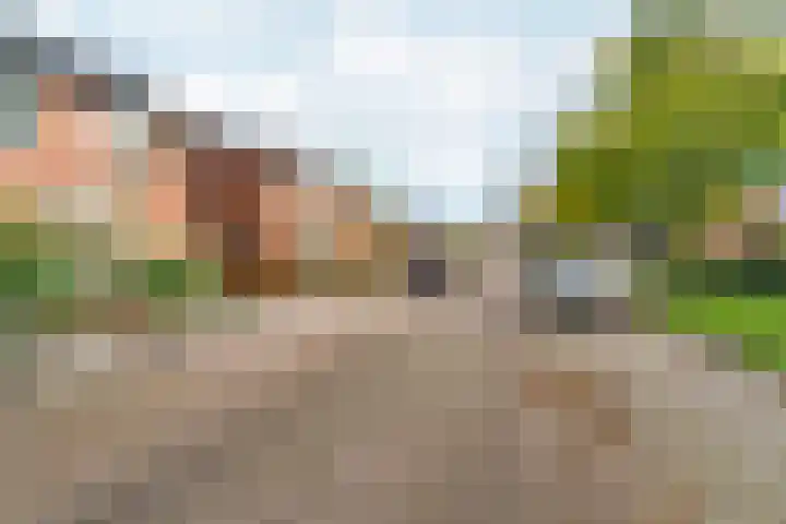 Veldstraat 23 Didam thumbnail 48