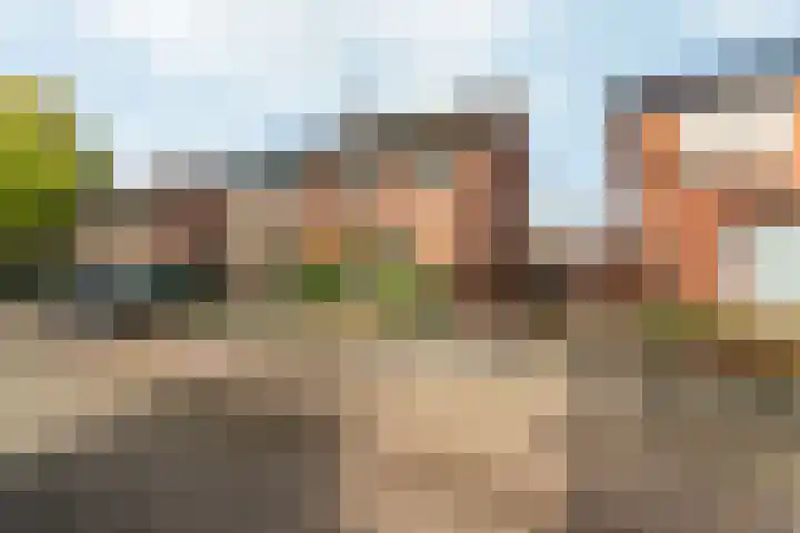 Veldstraat 23 Didam thumbnail 50
