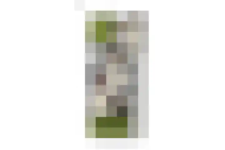 Veldstraat 23 Didam thumbnail 64