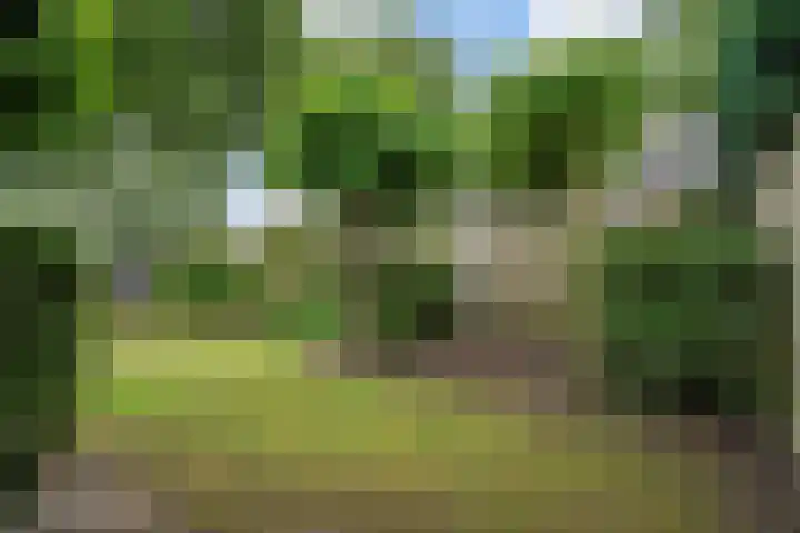 Veldstraat 27 Udenhout thumbnail 42