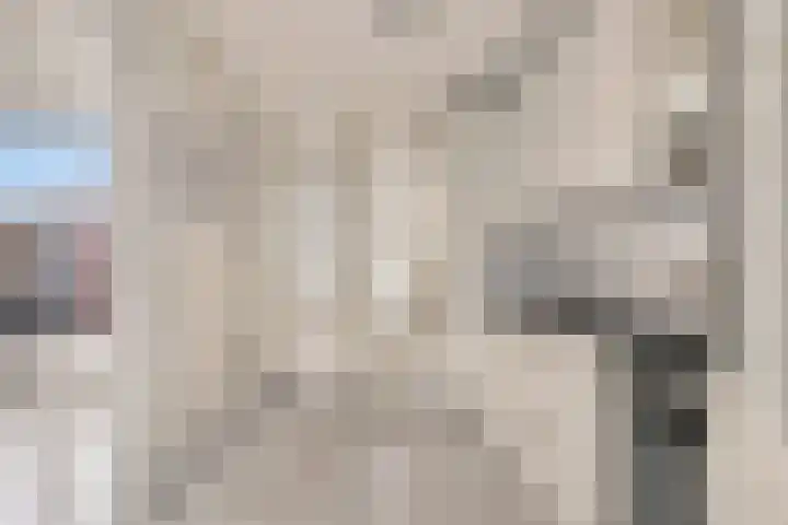 Veldstraat 30 Didam thumbnail 10